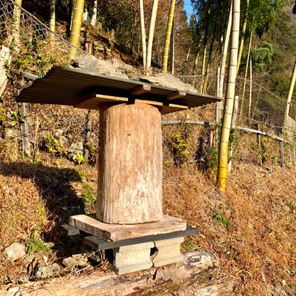 熊本県産非加熱『生はちみつ』